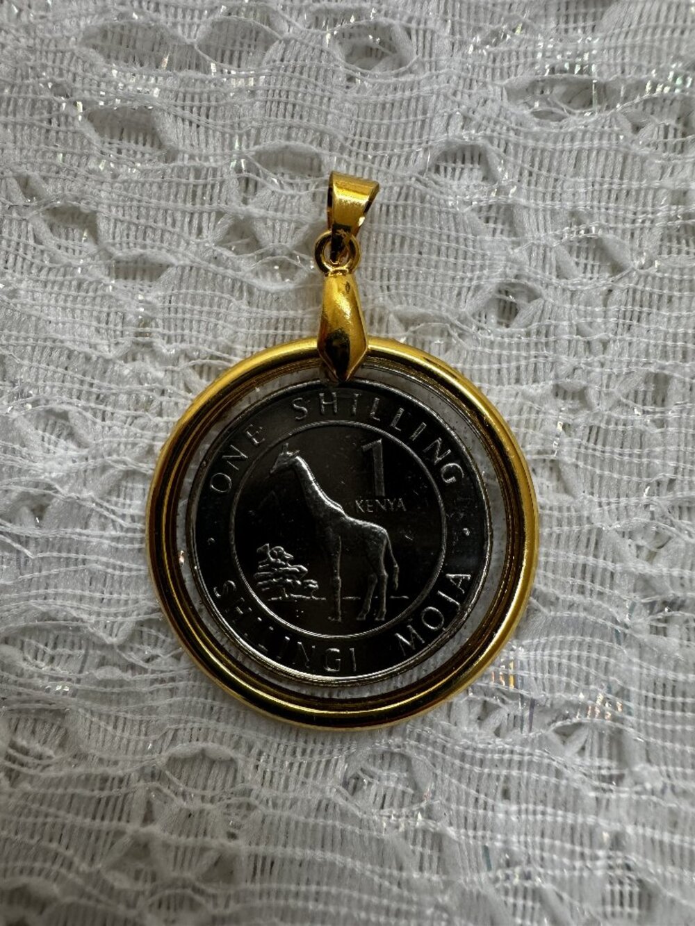 2018 Kenya 1 Shilling Giraffe Coin Pendant (Hand Crafted Resin) African Wildlife